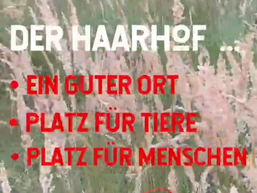 Der Haarhof – ein guter Ort für Tiere und Menschen